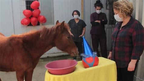 T­e­d­a­v­i­ ­e­d­i­l­e­n­ ­y­ı­l­k­ı­ ­a­t­ı­ ­i­ç­i­n­ ­d­o­ğ­u­m­ ­g­ü­n­ü­ ­p­a­r­t­i­s­i­ ­d­ü­z­e­n­l­e­n­d­i­